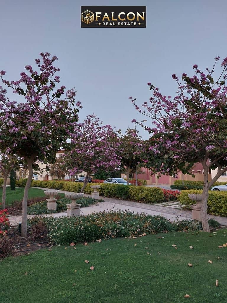 7 IMG-20241113-WA0031. jpg