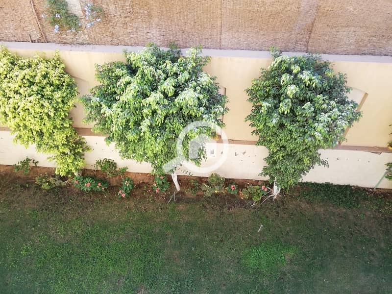 8 0e6b7975-f46e-47ac-a8ac-85cfd52368e8. jpeg