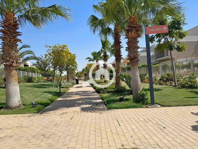 5 461393667_878933680884106_2987484186478708341_n. jpg