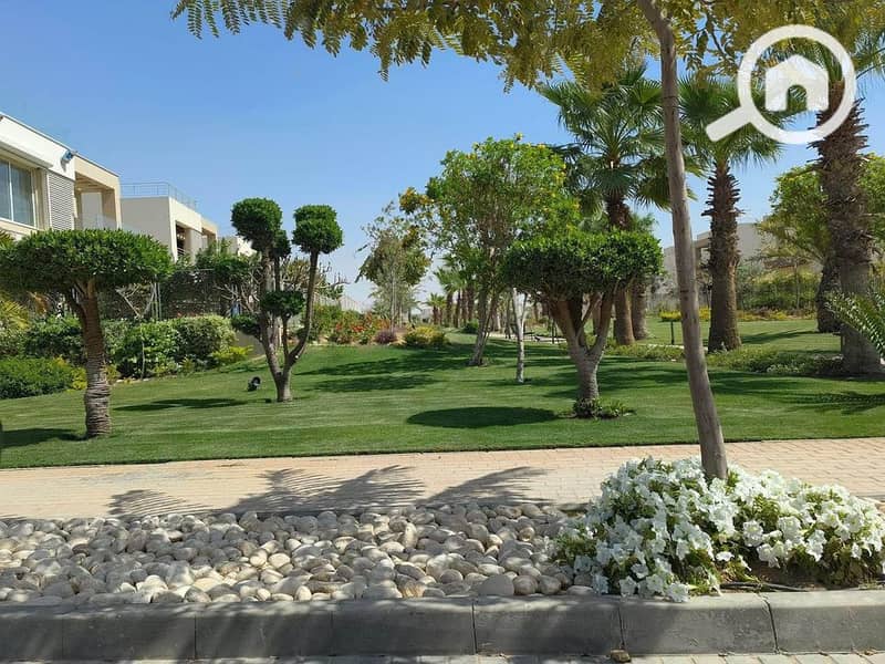 6 461395855_431932102770863_7704704401610722479_n. jpg