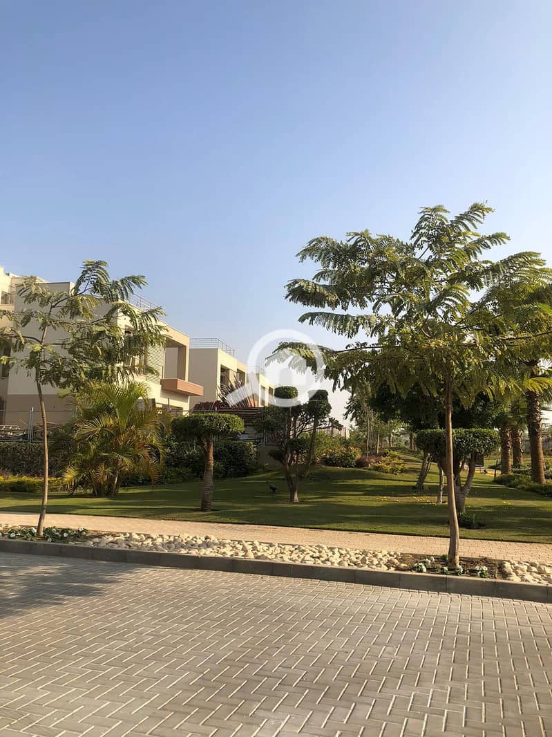 10 489964702_2063554790734894_7545320827391048478_n. jpg