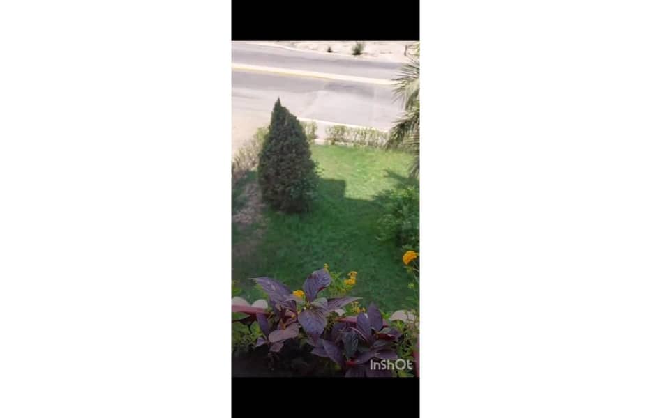 IMG-20251027-WA0052. jpg IMG-20251027-WA0052. jpg