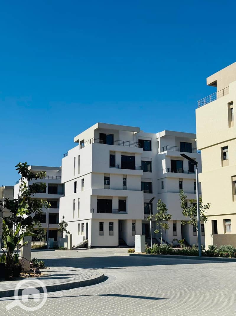 6 545805349_122141582648911077_8762944548053801228_n. jpg