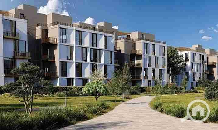 7 images - 2025-08-24T224108.533. jpeg