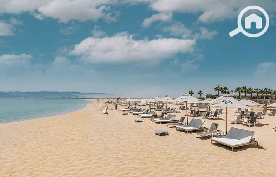 4 00ab0bd3-122d-4d9f-a19f-40b3bdb65402. jpg