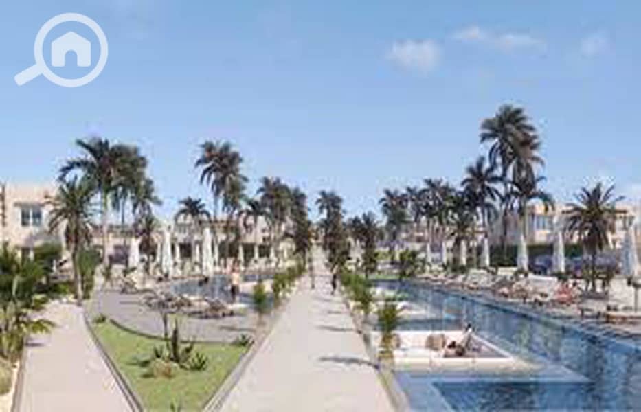 3 6d7b70cd-3343-4850-86b2-9a73f7edfafa. jpg