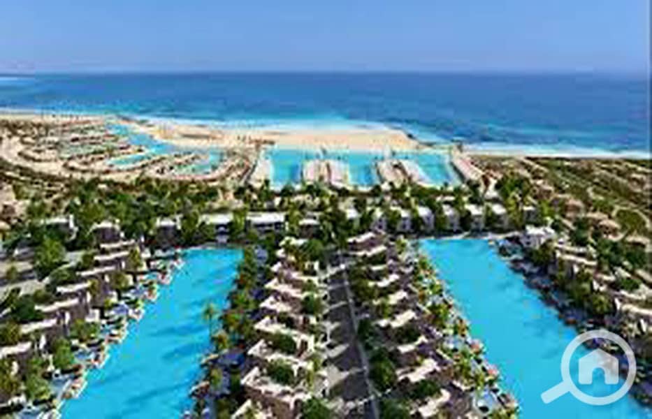 5 44a39543-606d-4ce8-8dbe-98c140019a70. jpg