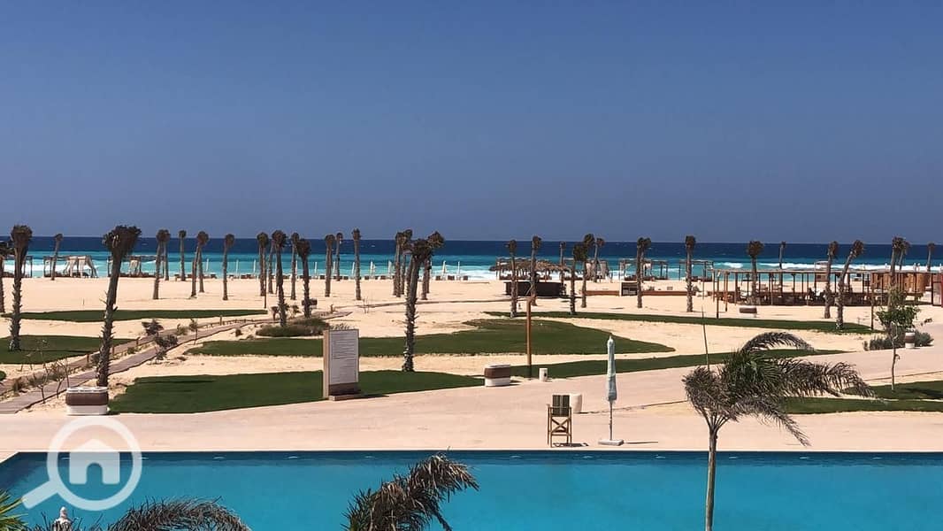 14 a3398b26-8ad8-43b3-b343-23c91ce04b9c. jpg