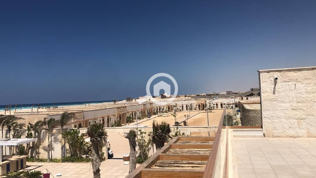 16 6518b352-2c36-4aba-a356-038c9a62e720. jpg