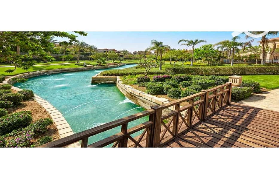 10 swan-lake-التجمع. jpg