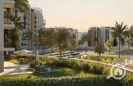 11 137919676-400x300. jpeg