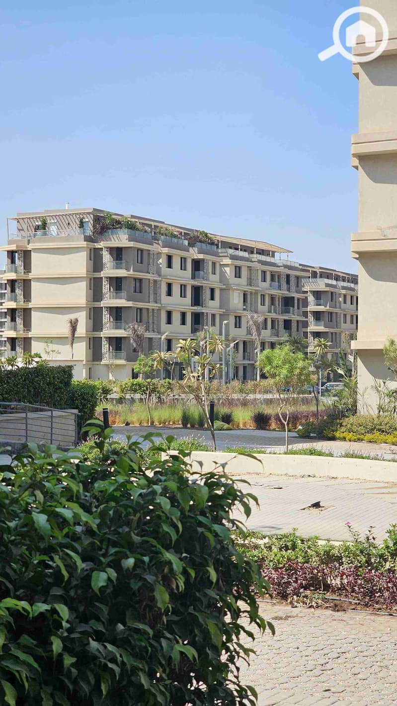 2 20251011_133003. jpg