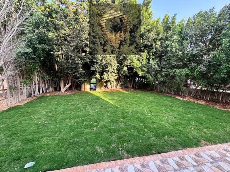 11 WhatsApp Image 2025-11-04 at 10.05. 30 AM (1). jpeg