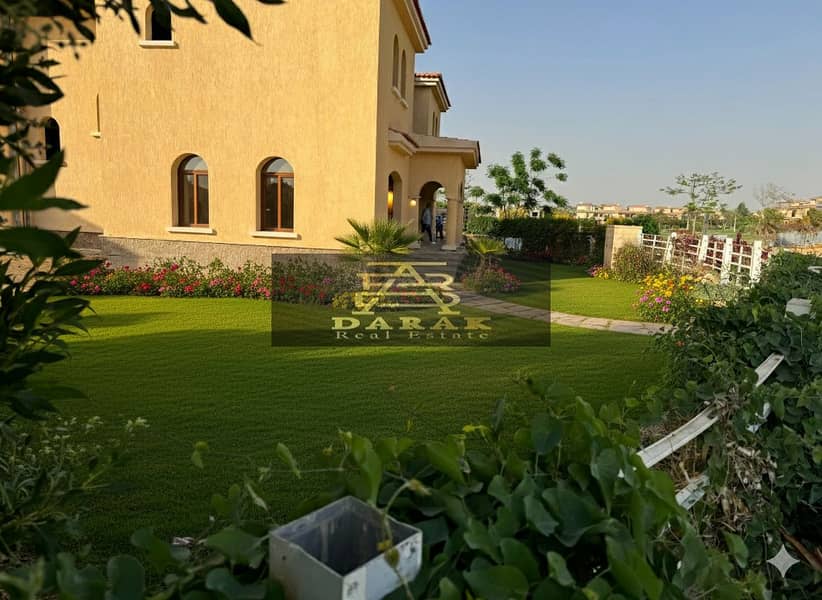 5 Gemini_Generated_Image_v7o6nev7o6nev7o6. png