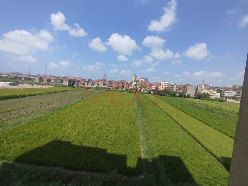 2 IMG-20251120-WA0047. jpg