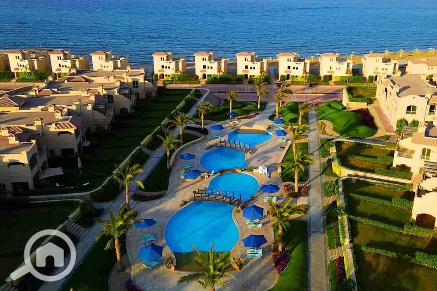 1000428790. webp 1000428790. webp