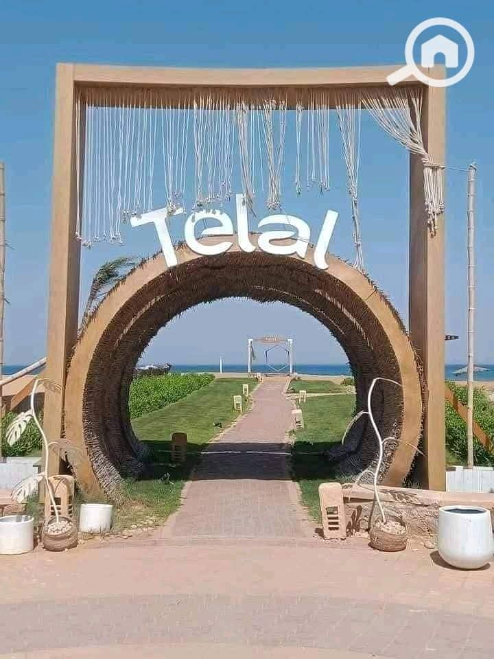 8 475397539_122267136662000490_5964941749966608024_n. jpg