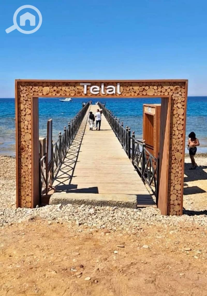 9 475868013_499917323142114_4784536000031516036_n. jpg