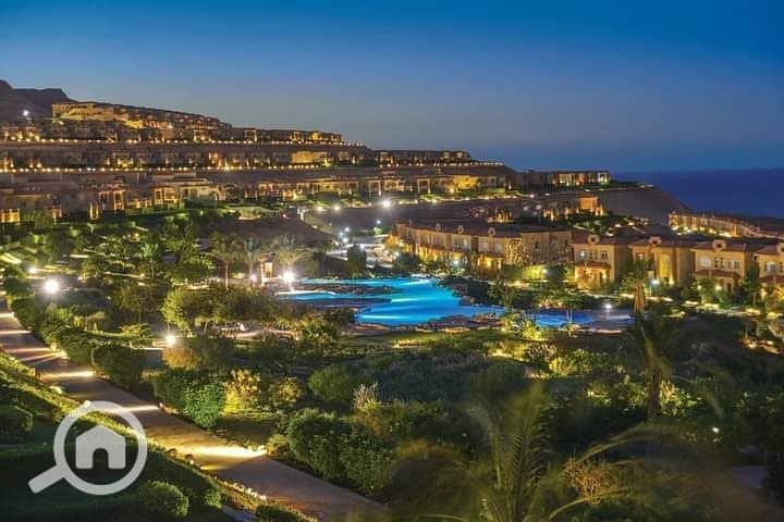 5 photo_2025-03-12_19-01-15. jpg