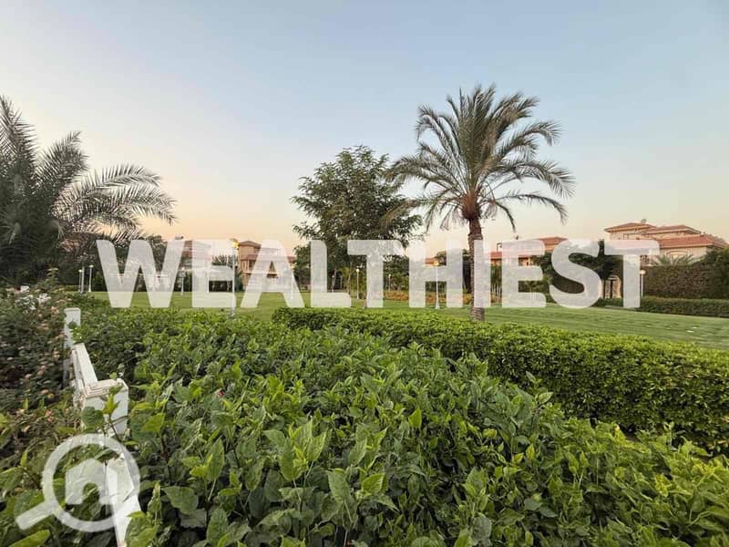 9 dc1d31fe-5524-46df-8083-83df94a0da8f. jpg