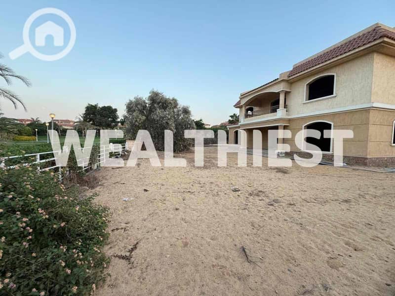 11 81c6694d-e591-4d8e-8b87-f8d3c88fe8cc. jpg