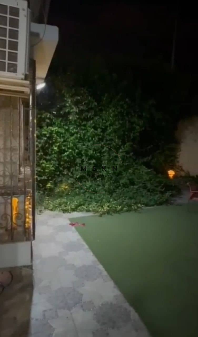 2 photo_2025-11-20 20.08. 16. jpeg