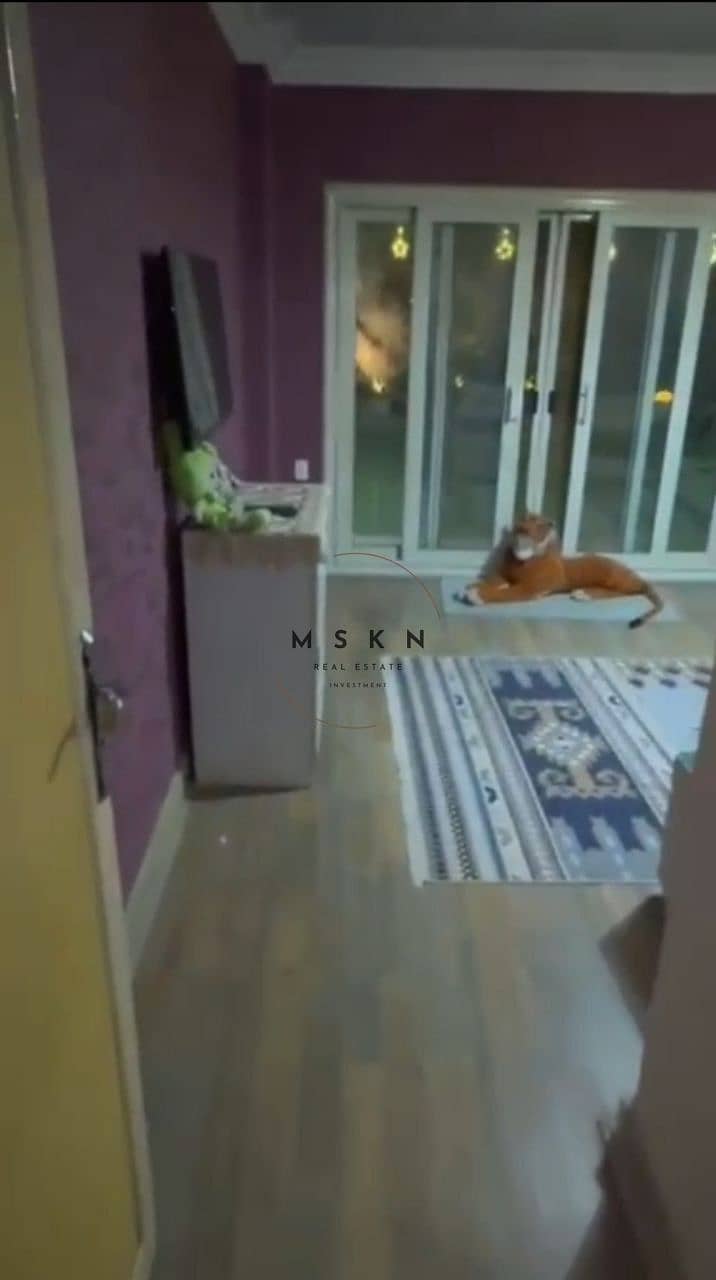 7 photo_2025-11-20 20.08. 11 (1). jpeg