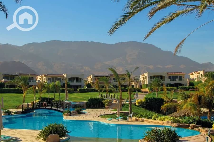 6 562993681_849308444300725_7818188045738021520_n. jpg