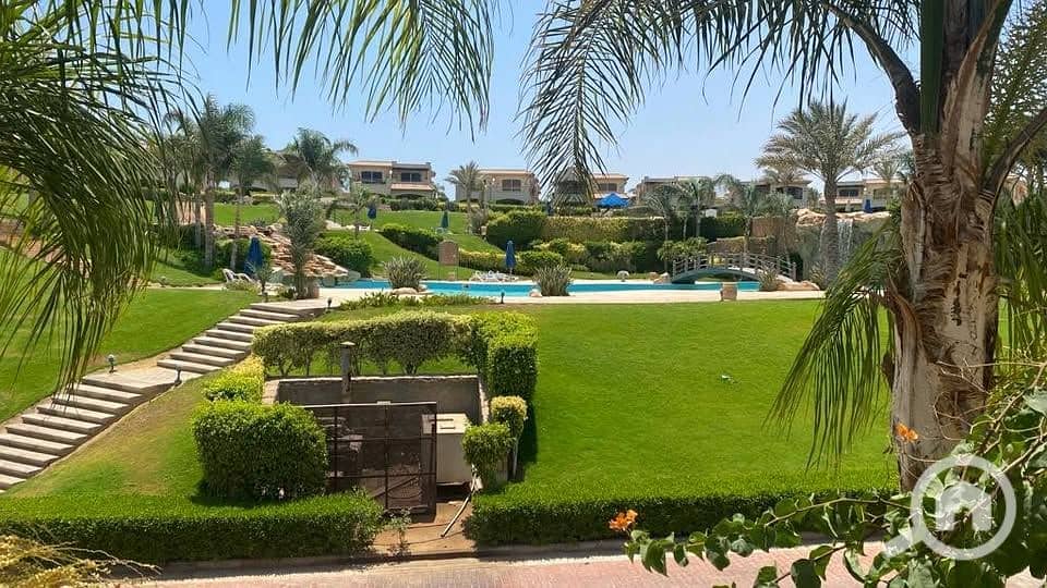 8 567515035_1318305103380996_5795963168857785502_n. jpg