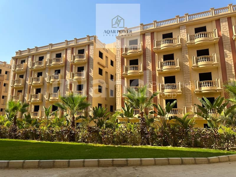 12 b69f1913-29e9-4bf2-9b62-8c56abd64372. jpeg