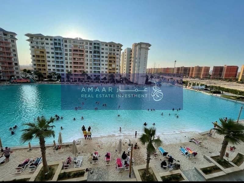 4 585156565_122244339944138818_1295675259174526517_n. jpg