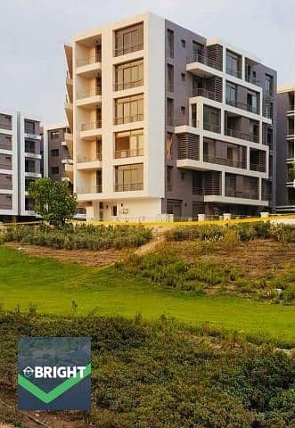 4 61281631_139001420523201_5744043228210921472_n. jpg