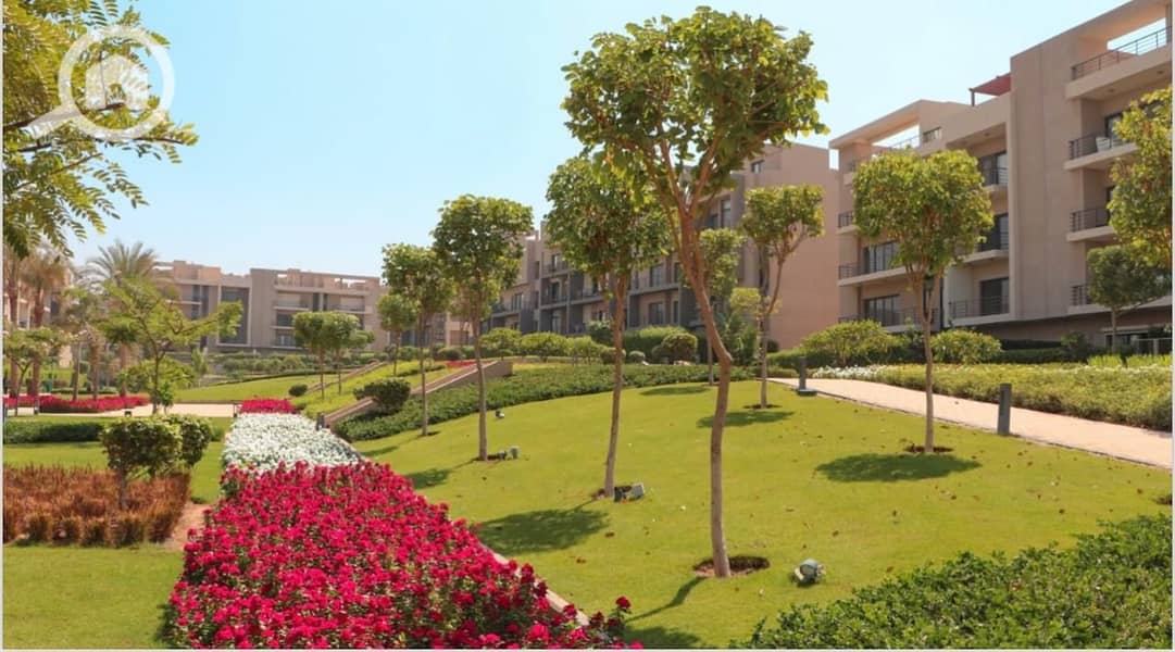 5 WhatsApp Image 2025-10-16 at 7.08. 36 PM. jpeg