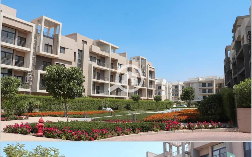 8 WhatsApp Image 2025-10-16 at 7.08. 38 PM (1). jpeg