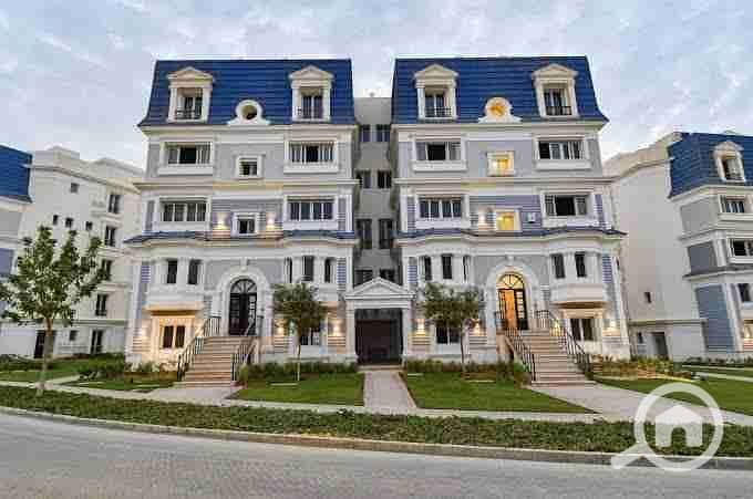 6 images - 2025-08-01T202502.940. jpeg