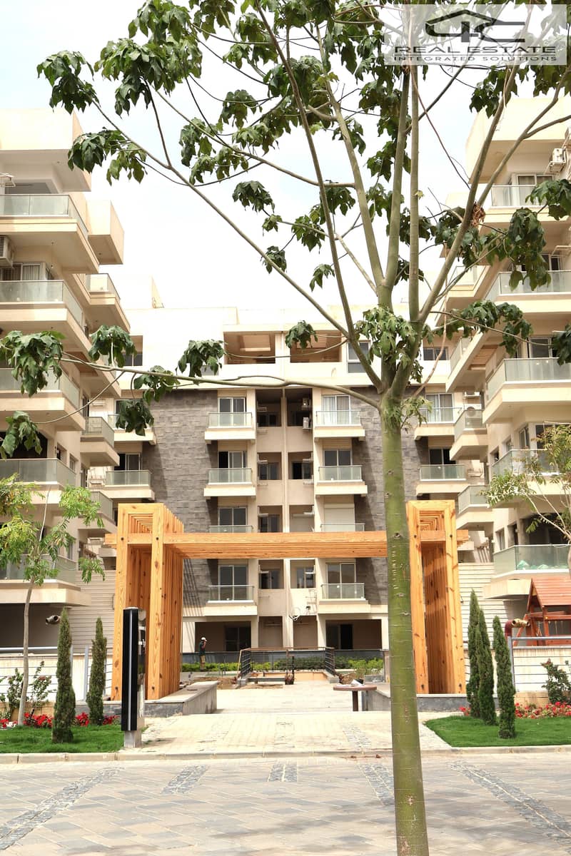 IMG_1791. JPG IMG_1791. JPG