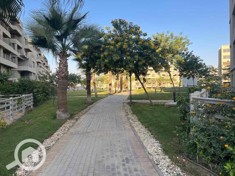 3 fd7a9e41-c500-4fb4-90fe-d7fc220eb9e1. jpg