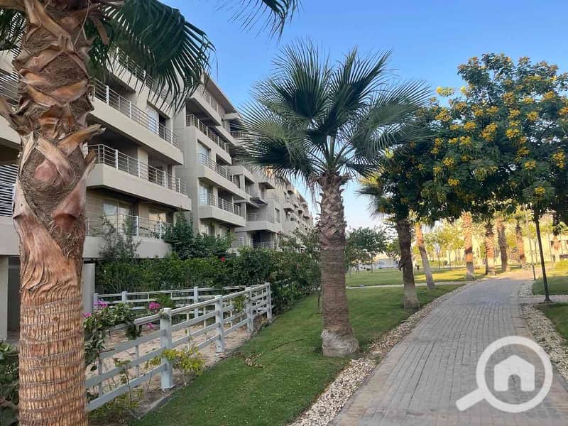 4 6fe7371f-2839-42cf-9d46-4dc60c1b62e2. jpg