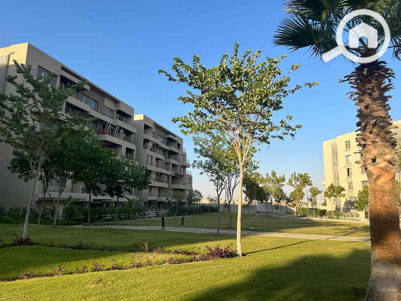 11 d8208d38-418c-40d4-8dcb-2b5a059c7632. jpg