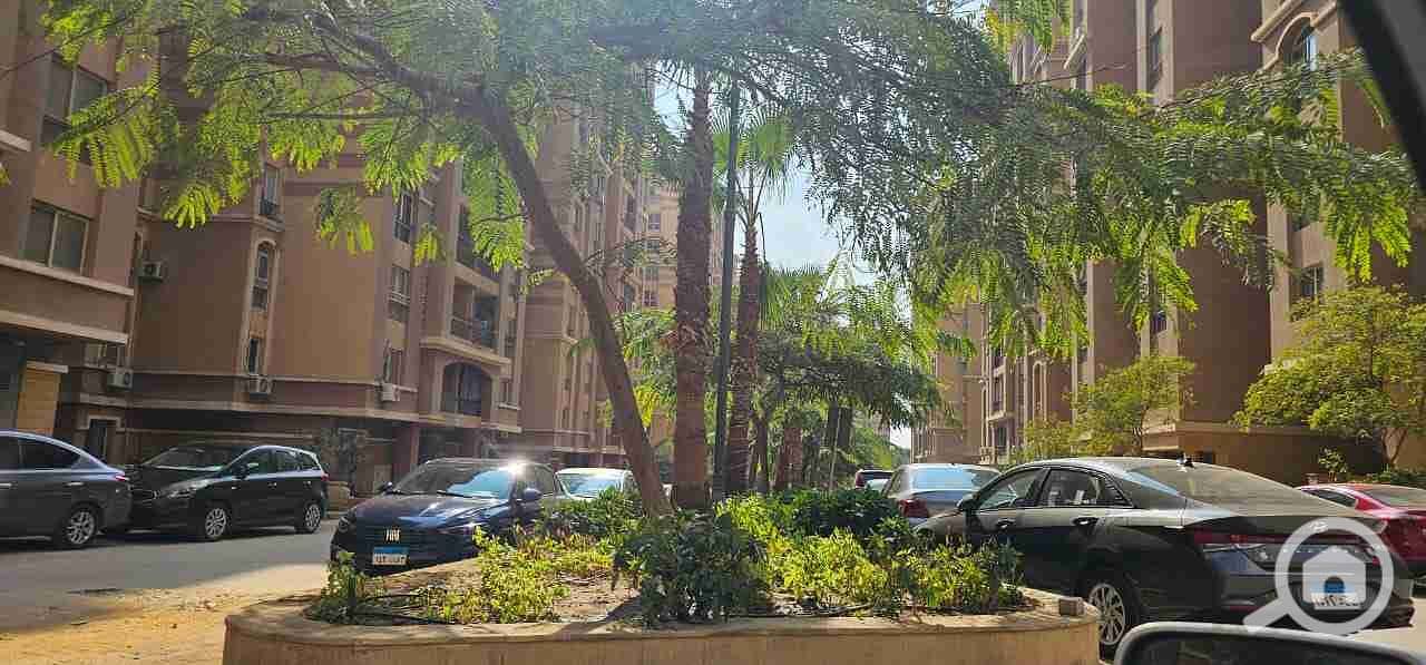 2 IMG-20251113-WA0011. jpg