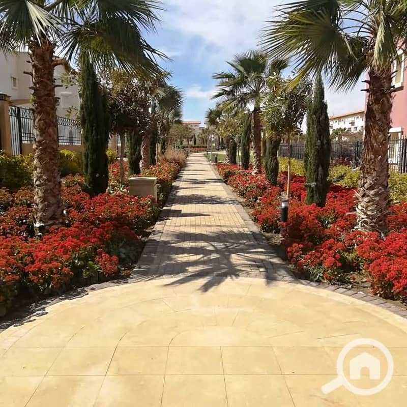 4 581875082_25078403755151011_7330132306240132822_n. jpg