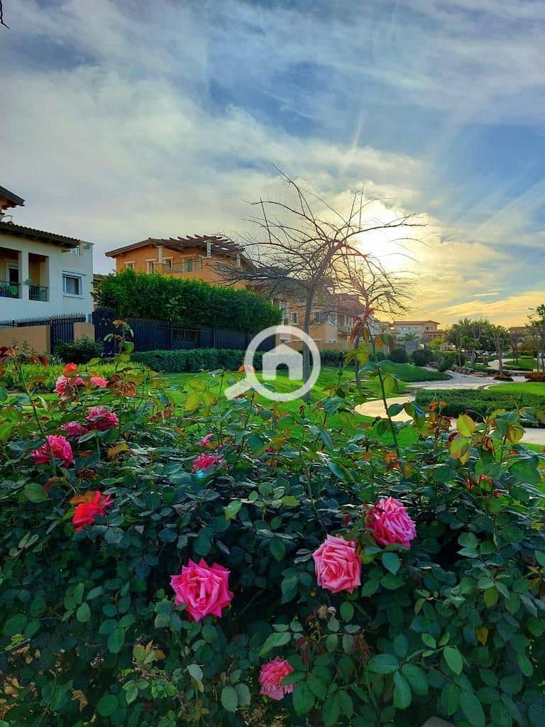 5 photo_2025-02-27_16-39-37. jpg