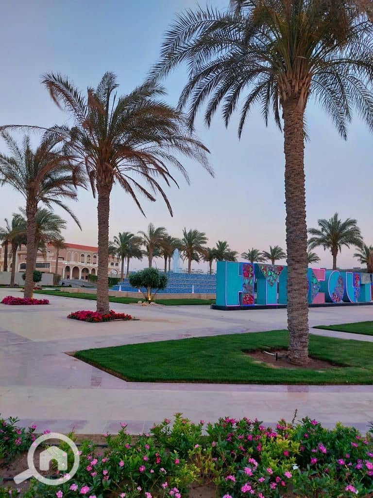 8 photo_2025-02-27_16-39-41. jpg