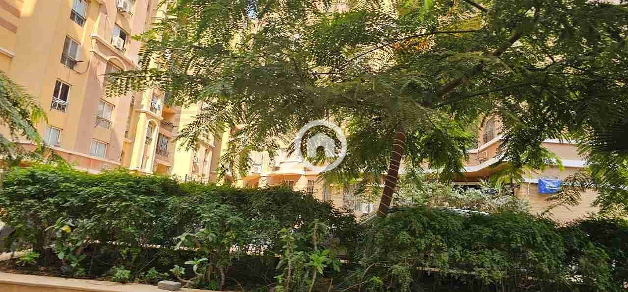 5 IMG-20251113-WA0000. jpg