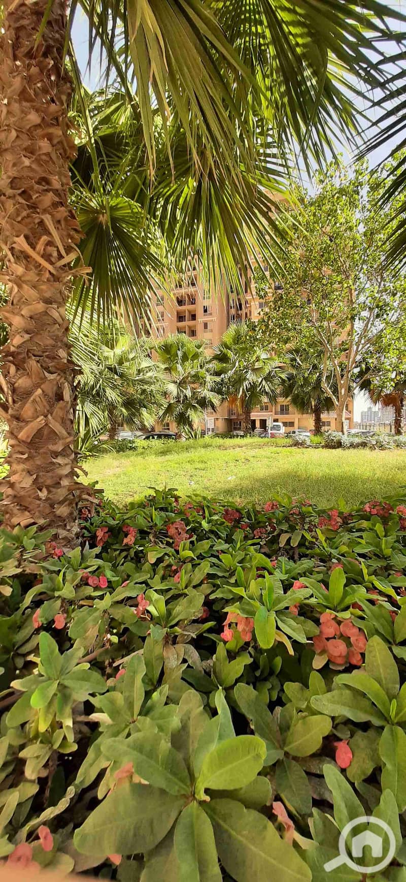 5 ٢٠٢٢٠٥٢٣_١٦٣٠١٨. jpg