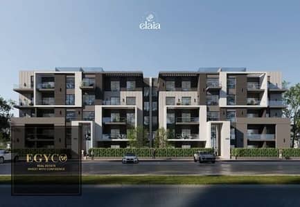 2 Bedroom Apartment for Sale in New Heliopolis, Cairo - WhatsApp Image 2025-11-20 at 7.06. 27 PM. jpeg