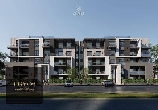 WhatsApp Image 2025-11-20 at 7.06. 27 PM. jpeg WhatsApp Image 2025-11-20 at 7.06. 27 PM. jpeg