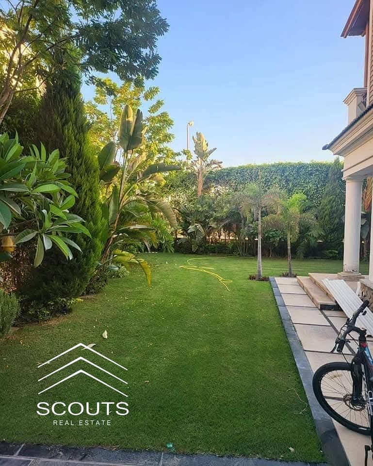 2 WhatsApp Image 2025-06-06 at 15.05. 16_2f57153c. jpg