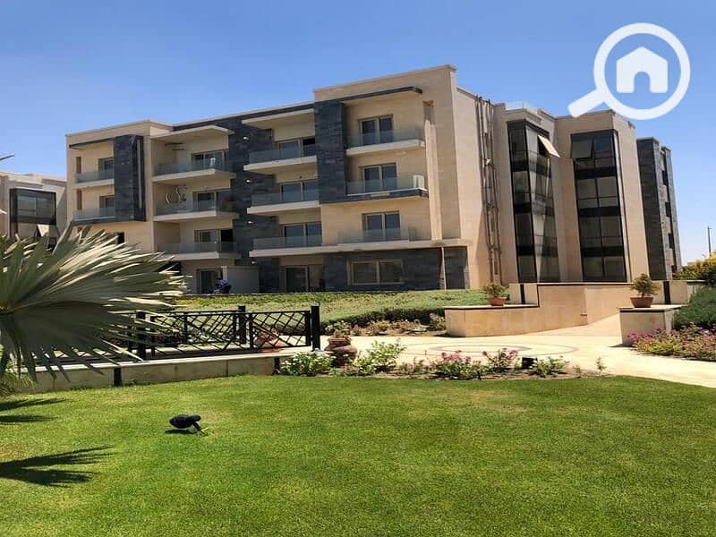 5 73372305_2783216075031381_2109506413297401856_n. jpg