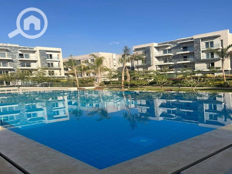 10 306731455_463361535818762_7525036839363946707_n. jpg